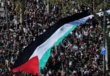 Decenas de miles de personas protestan en España en apoyo a Palestina y contra el abordaje de la flotilla